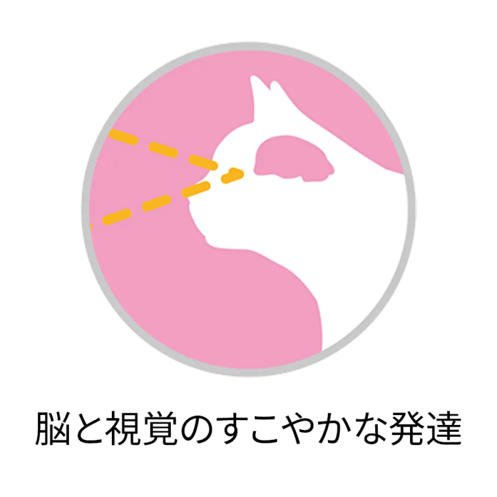 1歳までの子ねこ用/妊娠・授乳期の母猫用 サーモン＆ツナ - ピュリナ